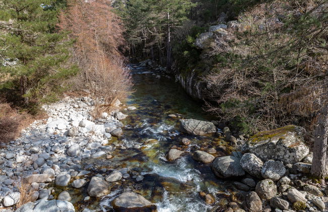 1 bedroom Apartment in Corte - Photo 18