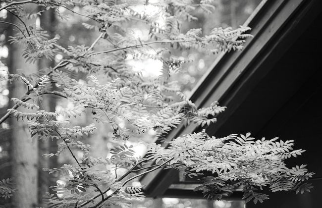 Berghütte-Hochpillberg - Foto 39