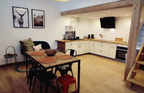 Le chaleureux loft 1 minute du tram - Foto 6