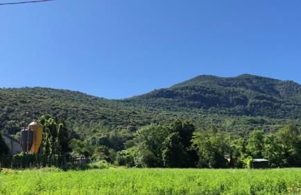 Agriturismo La Betulla - Photo 35