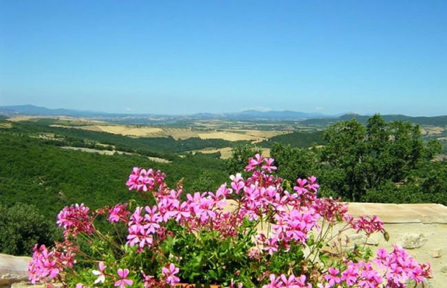 Tuscan Scenic View Stay - Foto 21