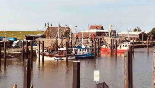 Gemütlicher Bungalow in Butjadingen - Foto 2