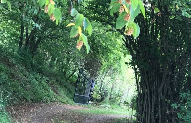 Casa Pastano, Stunning Farmhouse in Italian Hills - Foto 27