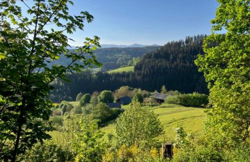 Auszeit im Waldhaus - Foto 19