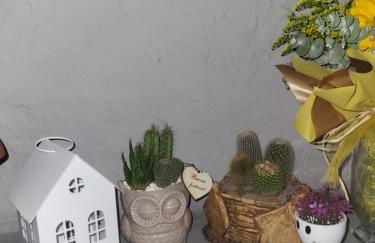 Un Raggio di Sole - Foto 13