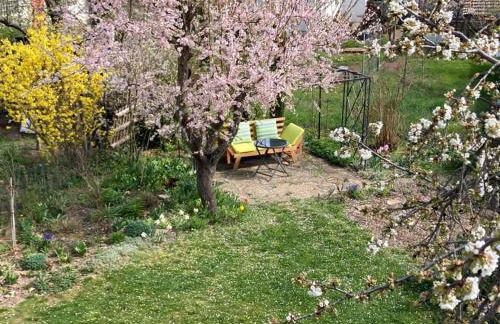 Terrassenwohnung - Foto 34