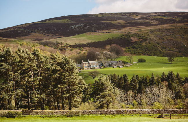 Ash Cottage - Foto 11