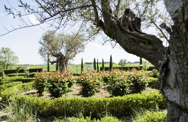 Podere San Giuseppe - Photo 28