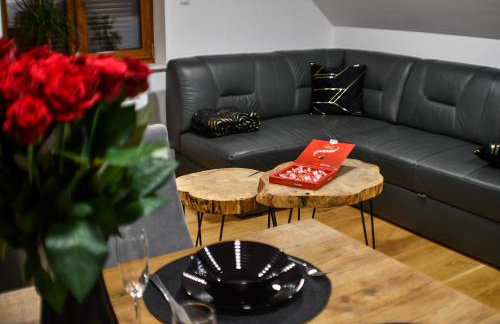 Apartament Orły air conditioning - Foto 8