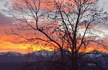 Chalet du Mont Granier - Foto 10