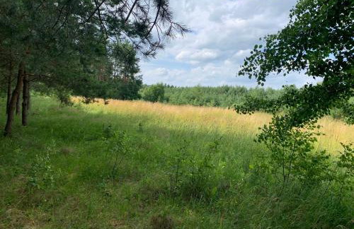 Domek wypoczynkowy Letnisko Sosenkowo - Foto 45