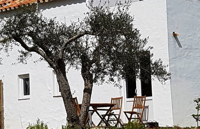 Quinta dos Cochichos – Country Houses - Foto 67