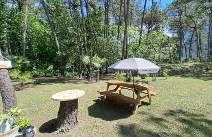 Villa Barbara Fra i Pini - Foto 10