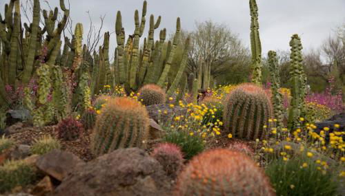 Sonesta Tucson - Foto 5