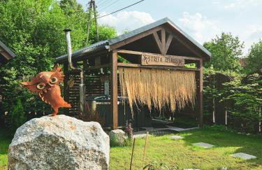 Domek Drwala k. Karpacza - Foto 32