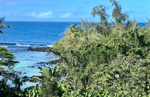 Direct Oceanfront Mauna Loa Shores Honu Elua #508 next to Carlsmith Beach park, Hilo HI - Foto 25