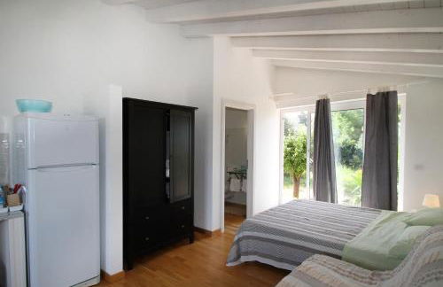 La Gabbianella E Il Gatto - Foto 33