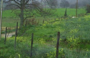 Agriturismo San Pietro - Foto 99