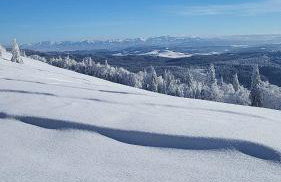 Amelie's House - Foto 4