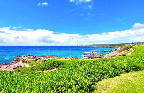 KBM Resorts FREE CAR Kapalua Bay Villa Oceanfront 1-Bedroom Condo with Amazing views KBV-30G2 - Foto 2