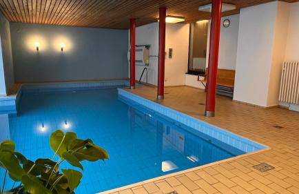 Die Ente an der Enz, mit Schwimmbad und Sauna - Foto 39