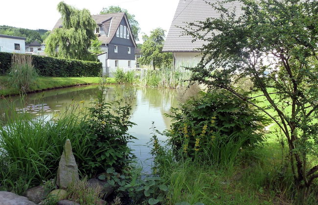 Forest Hideaway for 2 Guesst - Foto 29