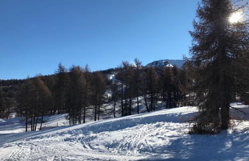 Duplex cosy pour 6 personnes- chalet des Pléiades -, départ skis aux pieds en bordure de piste sans portage - l'autre duplex mitoyen est également à nous - Foto 25