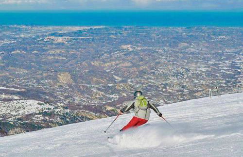 La Presentosa - Foto 5