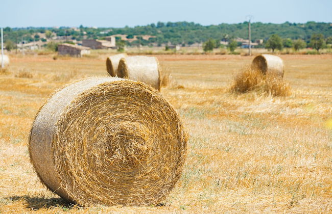 Hotel Rural Es Turó - Foto 75