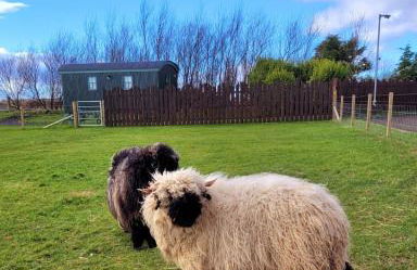 Cater Tober Haven - Photo 31