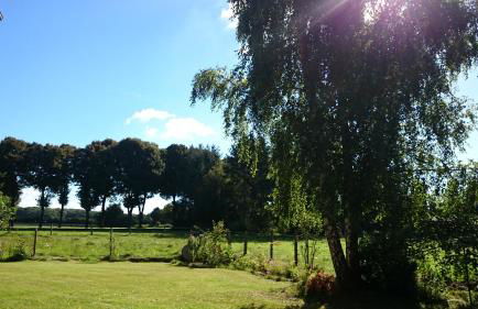 Pottkiekerhus - Foto 31