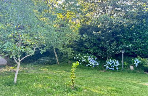 casa do gaio - Foto 8