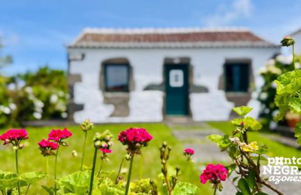 Casa da Serreta by PontaNegraAzores - Photo 45