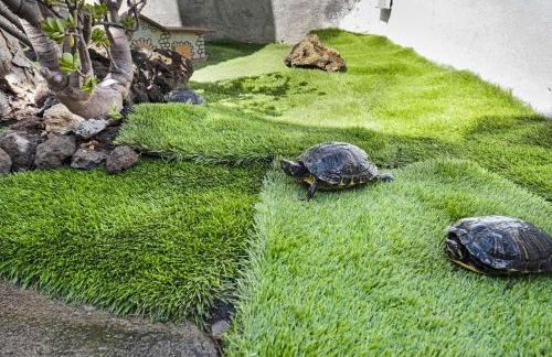 Casa Evarista - Foto 28