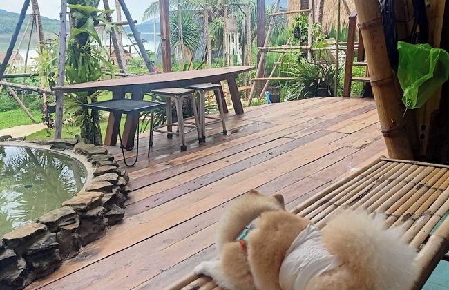 The Frog Cabana - Photo 23