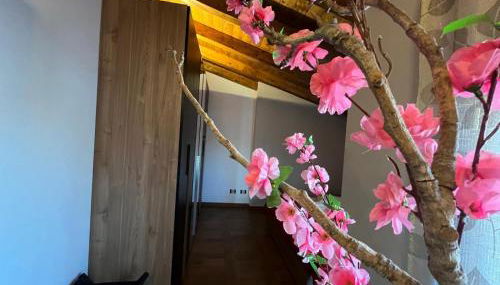 Suite Deluxe Appartaments Black - Foto 4