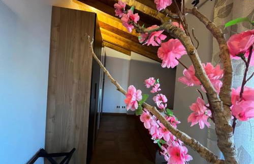 Suite Deluxe Appartaments Black - Foto 4