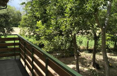 AGRITURISMO TERRAPIA - Foto 14