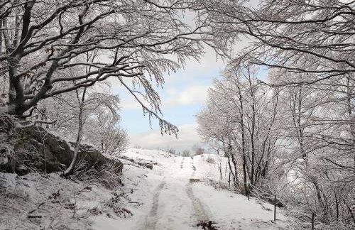 Mountain House Paula - Foto 46