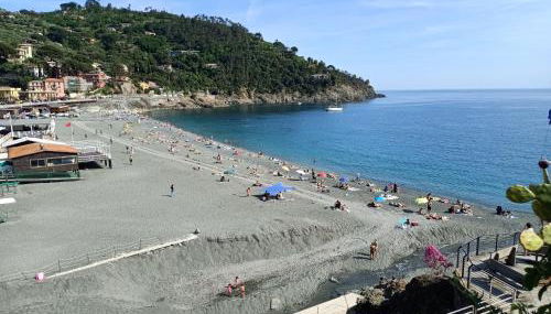 L' eden di Erasmo - Foto 3