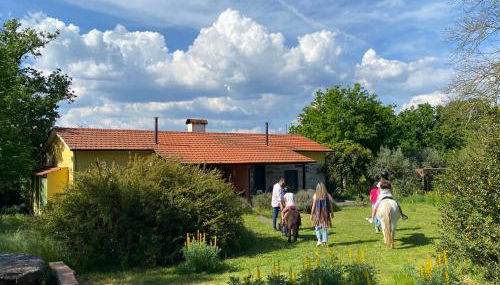 Casa das Palmeiras - Pedagogic Farm - Foto 2
