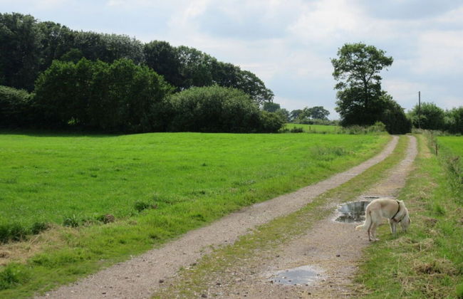 Hogelia Comfortable Holiday Residence - Foto 2