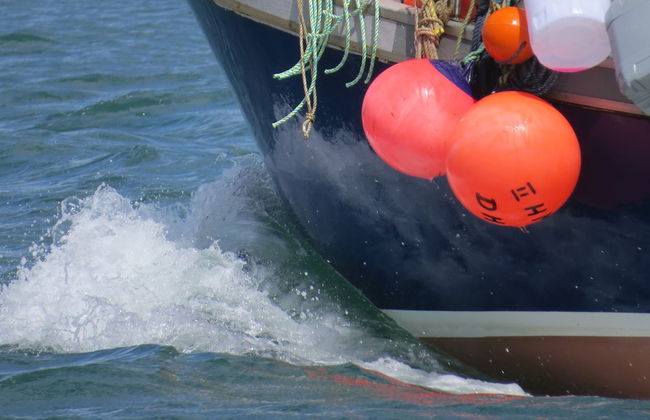 Seas the Day - Foto 23