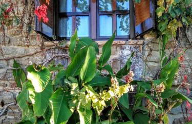 Alojamiento Rural La Cañada - Foto 31