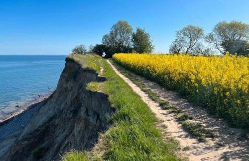 Strandgut - das appartement - Foto 36