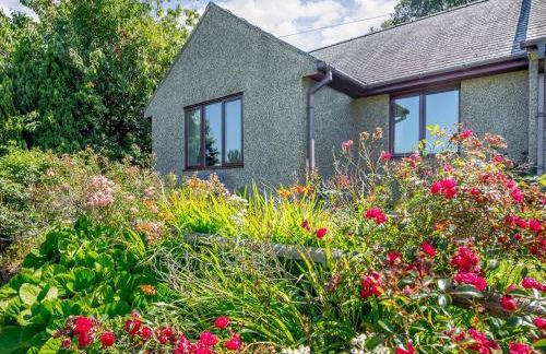 Llety Nest - Foto 18