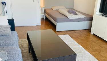 Business Messe Apartment & Wellness Spa - Foto 3