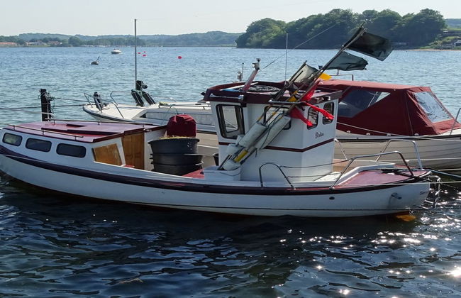 "Veselin" - 100m from the sea - Foto 11