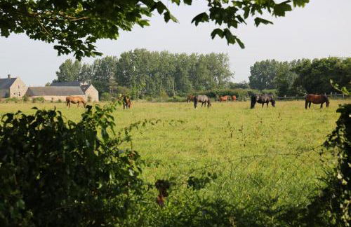 Le beaupré loft vue mer imprenable - Foto 22