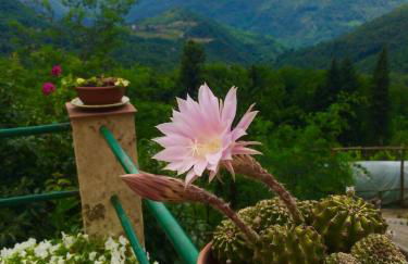 House With Panoramic Terrace - Foto 2